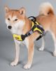 Dog Helios 'Scorpion' Sporty High-Performance Free-Range Dog Harness - Yellow - Small