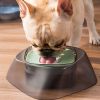 Pet Life 'Hydritate' Anti-Puddle Cat and Dog Drinking Water Bowl - Green